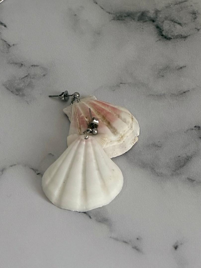 گوشواه صدف🐚